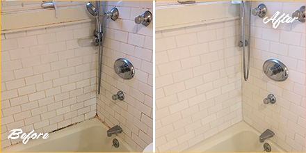 Here's How a Grout Cleaning Service in Alburtis PA Left This Shower Looking  Spotless